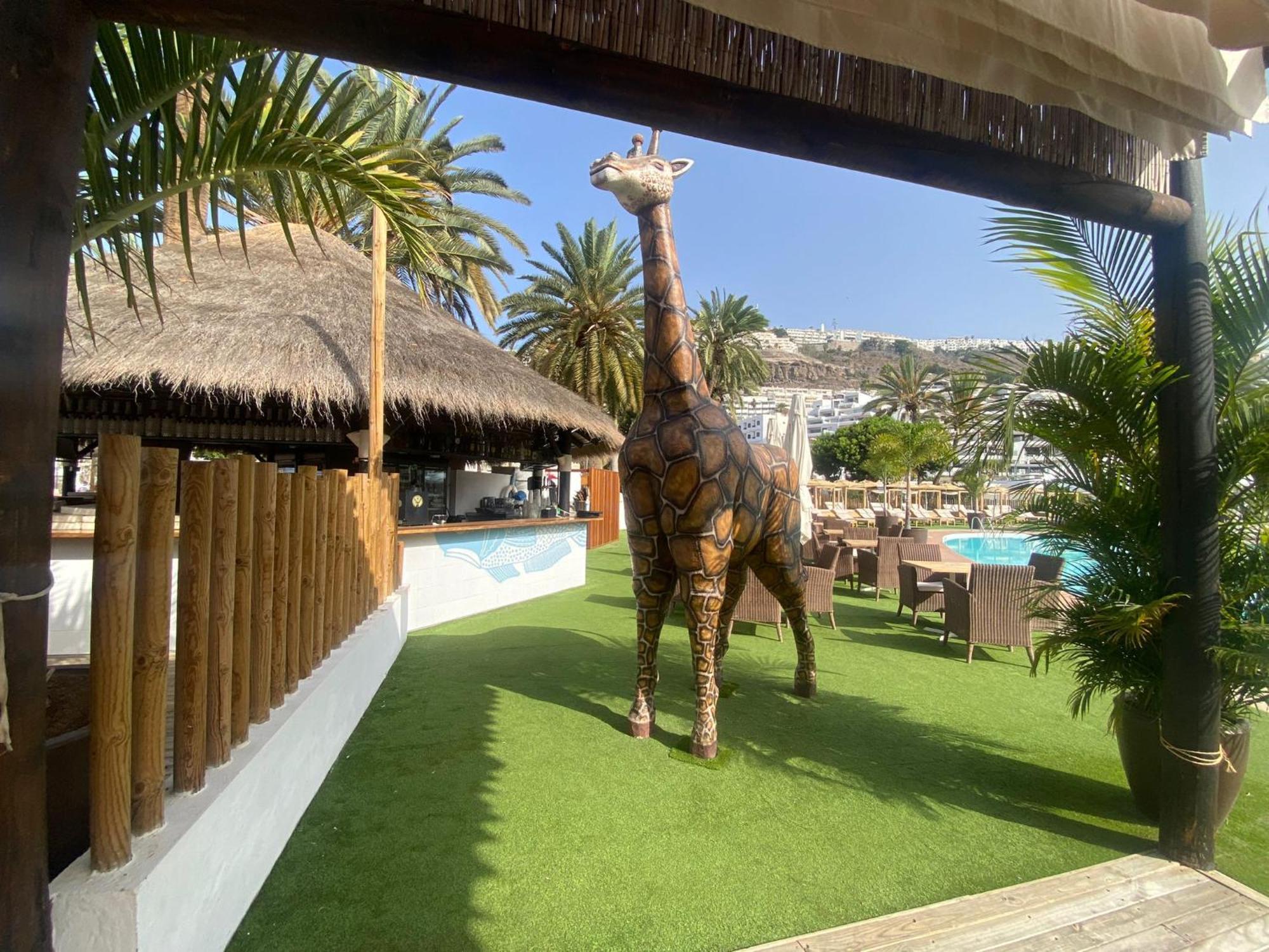 Modern Ground Floor Apartment , A Few Steps From The Beach Mogán Eksteriør bilde